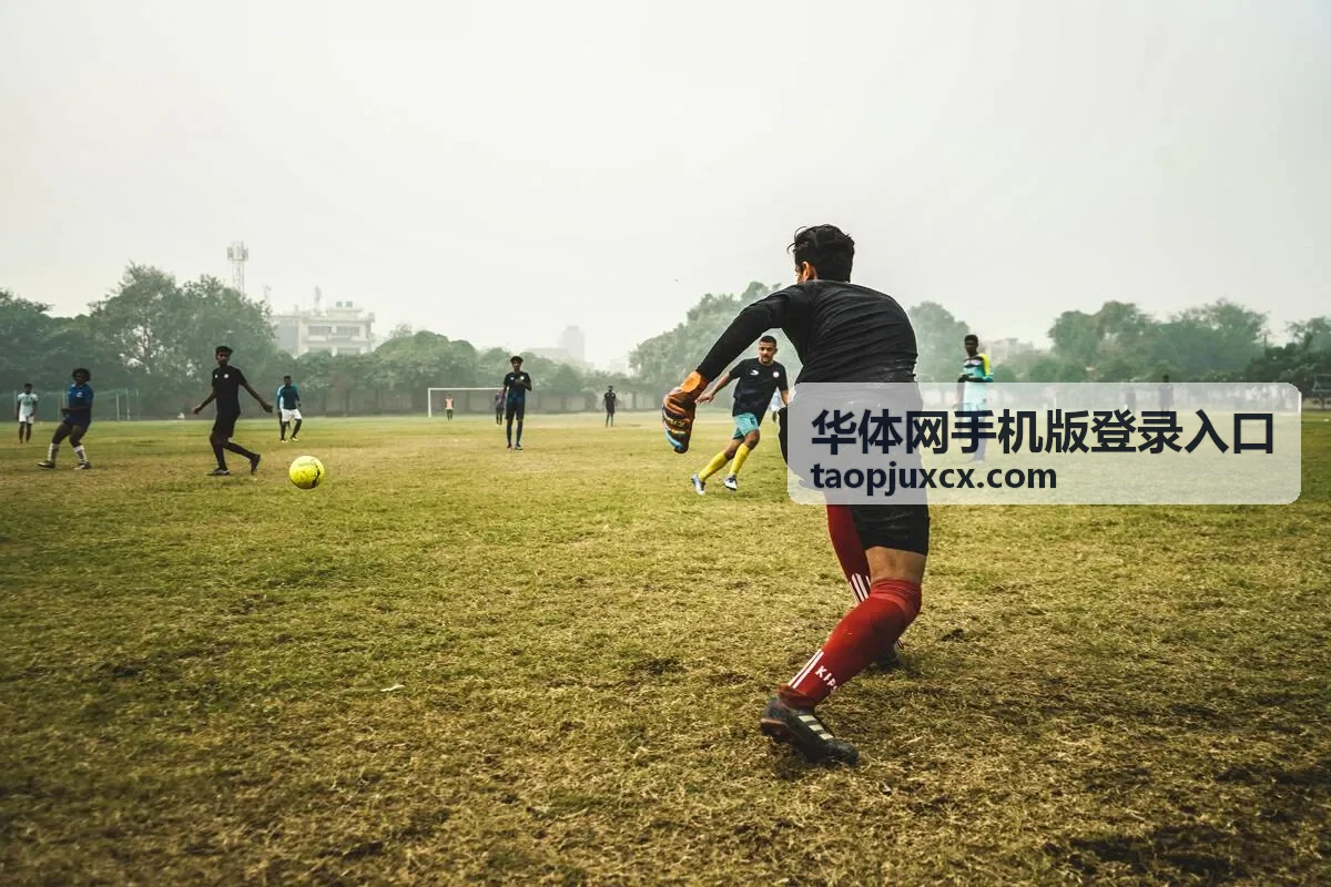 华体网手机版登录入口在手机屏幕上的打开效果